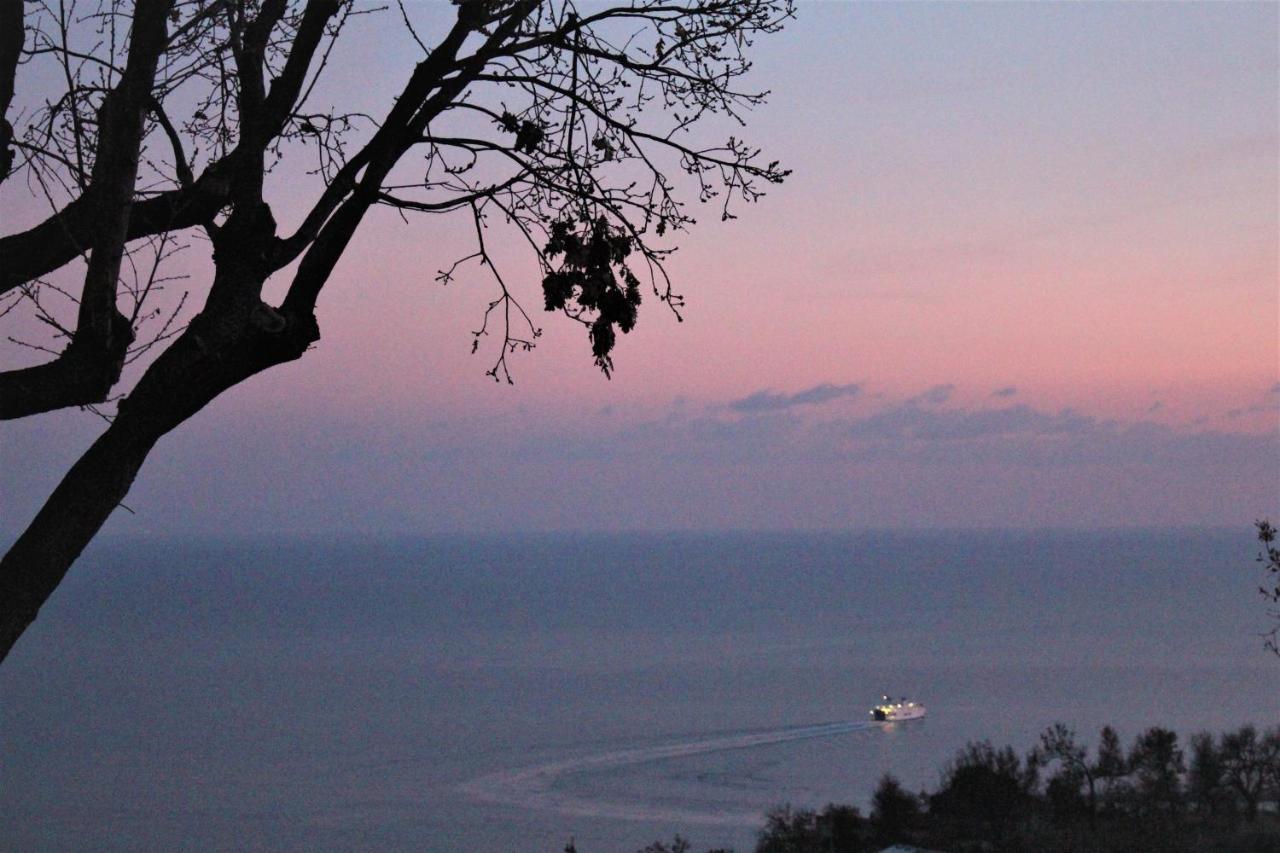 Villa Treglia B&B Formia Ngoại thất bức ảnh