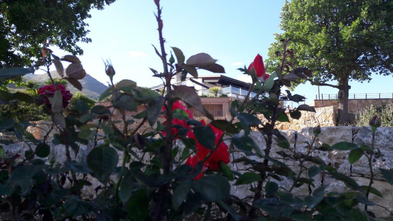 Villa Treglia B&B Formia Ngoại thất bức ảnh