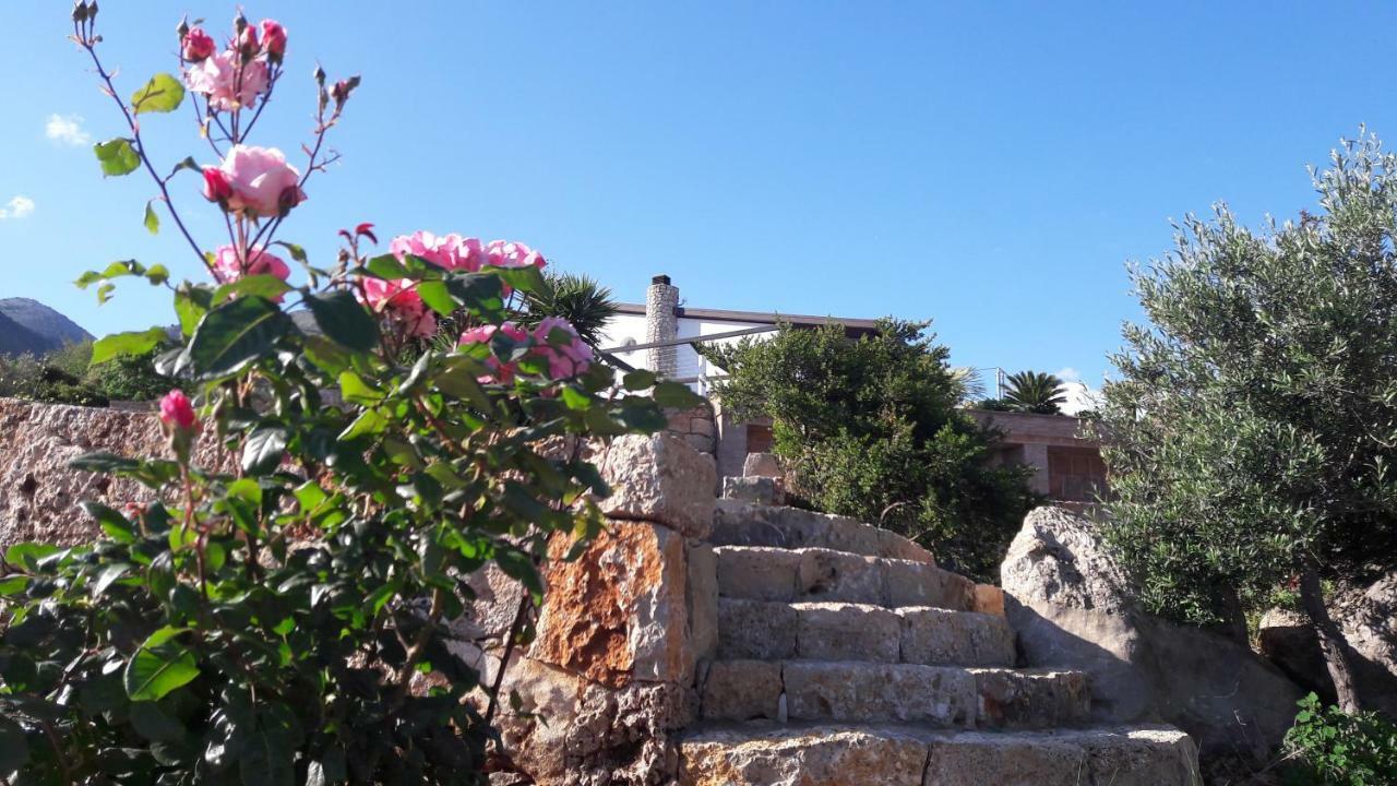 Villa Treglia B&B Formia Ngoại thất bức ảnh